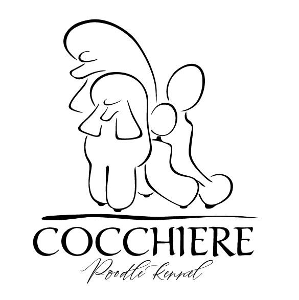 Kennel Cocchiere